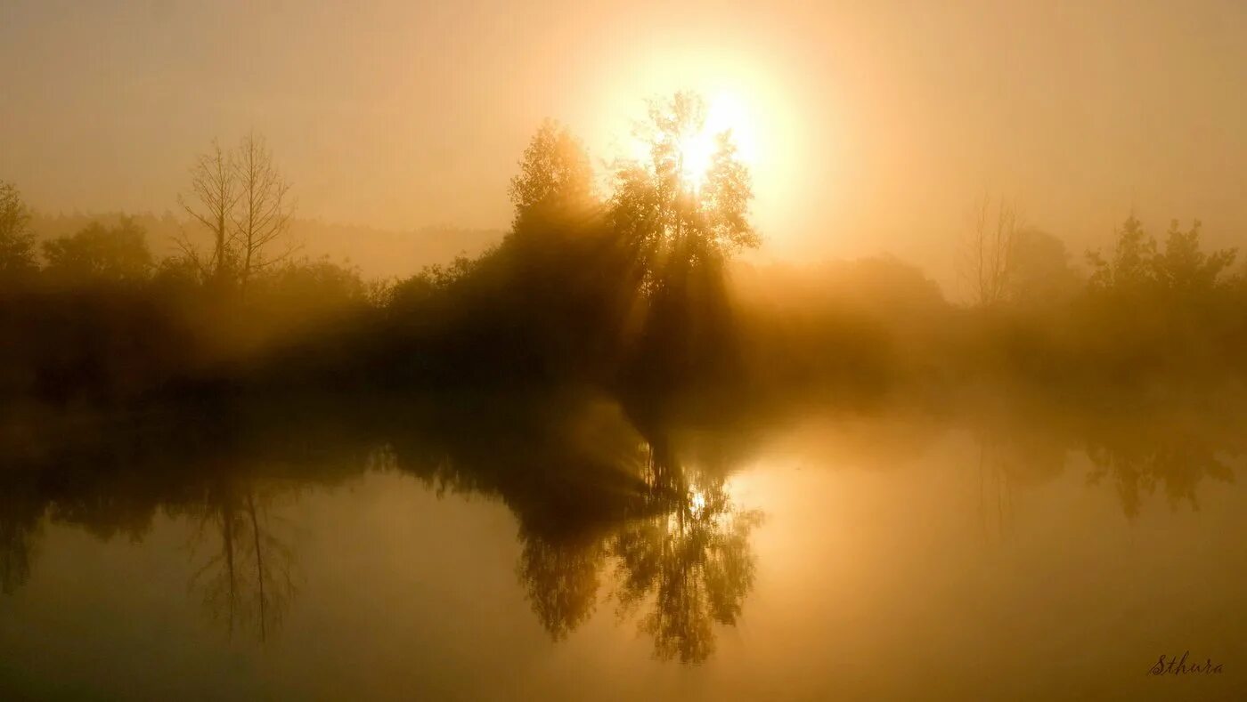 Туманное утро фет. Прекрасные погоды нынче стоят картинки. Солнце в дымке. Текст песни солнечные блики рассветы и туманы. Отблески рассвета.