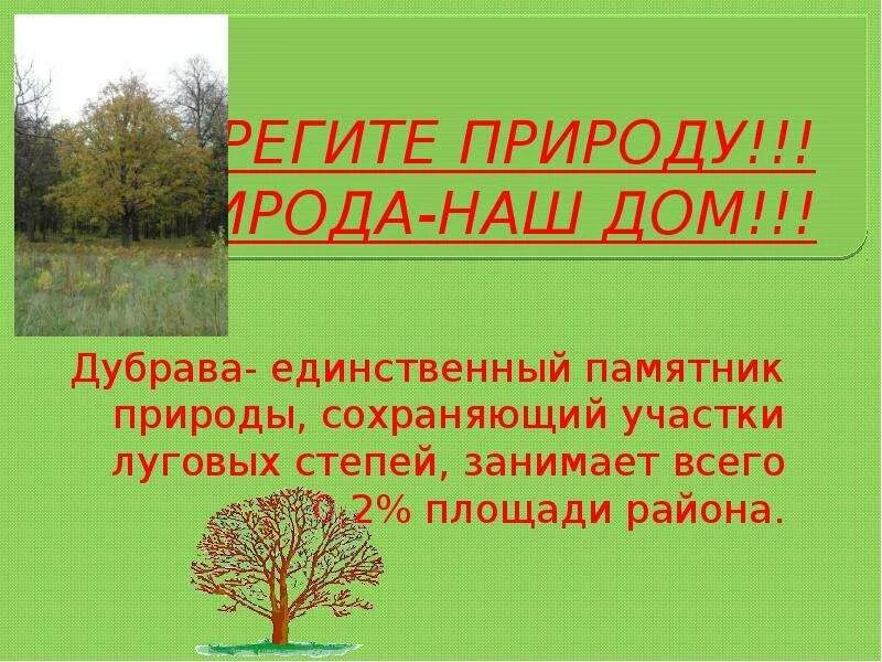 Дубрава презентация. Предложение со словом дубок. Дуб дубрава дубок. Презентация леса в липецке. Предложение со словом дубрава.