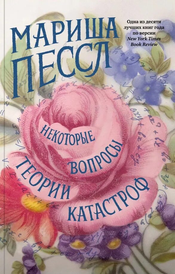 Пессл некоторые вопросы теории катастроф. Пессл некоторые вопросы теории катастроф
