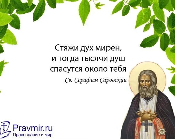 Спаситесь сами и тысячи спасутся вокруг тебя. Радость моя стяжи дух мирен и тысячи вокруг тебя спасутся. И вокруг тебя спасутся тысячи.