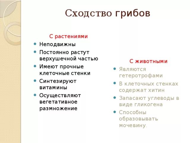 Сходством грибов с растениями является. Сходство грибов с растениями и сходство грибов с животными таблица. Перечислите сходства грибов с растениями. Черты сходства грибов с растениями. Грибы сходство с растениями и животными.