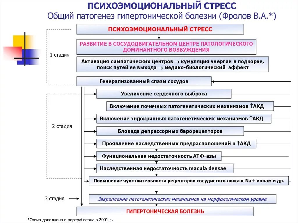 Патогенез стресса патологическая физиология. Патогенез стрессовой реакции схема. Общий патогенез стресса патофизиология. Механизм развития стресса патофизиология. Механизмы развития стресса