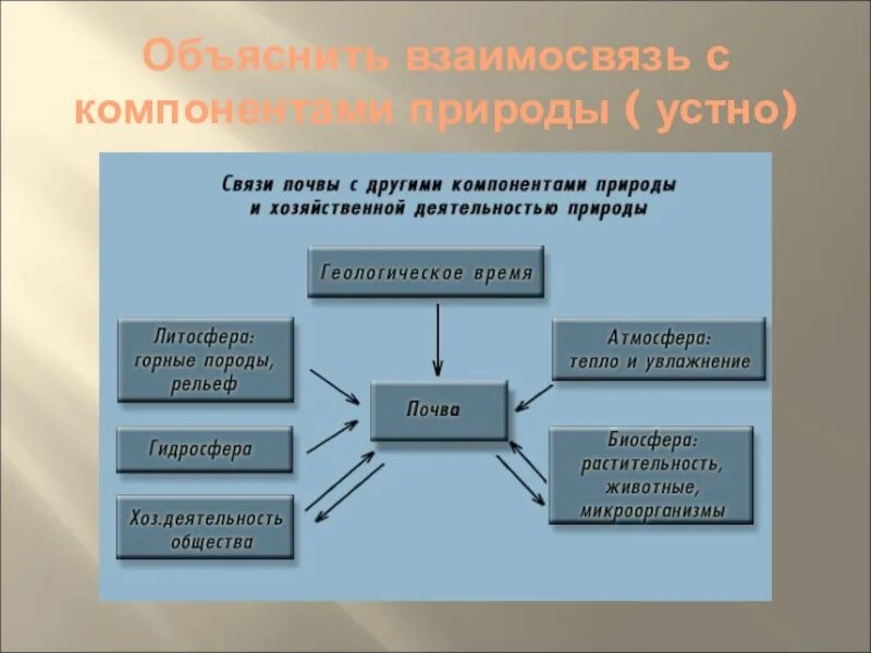 Характеристики компонентов природы. Взаимосвязь элементов природы. Взаимосвязь компоненты природы. Взаимосвязь природных компонентов. Взаимо связь компонентов.