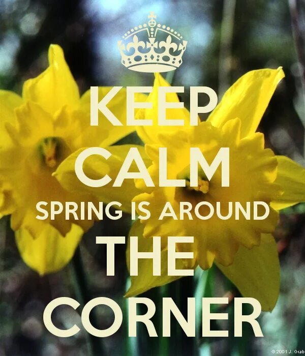 Keep Calm Spring. Keep Calm Spring is coming. Spring around the Corner. Spring is just around the Corner.