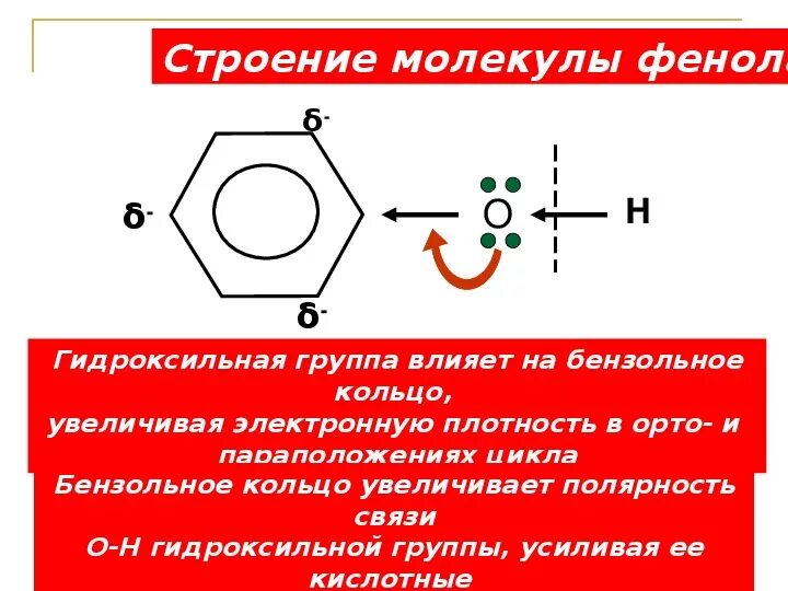 Строение гидроксильной группы. Строение молекулы фенола 10 класс. Гидроксильная группа фенола. Строение фенола. Строение молекулы фенола.