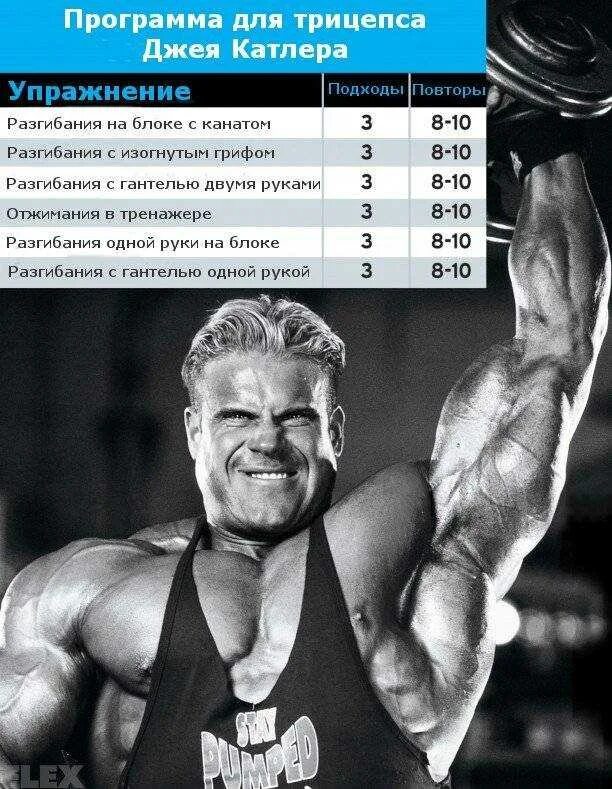 Программа тренировок катлера