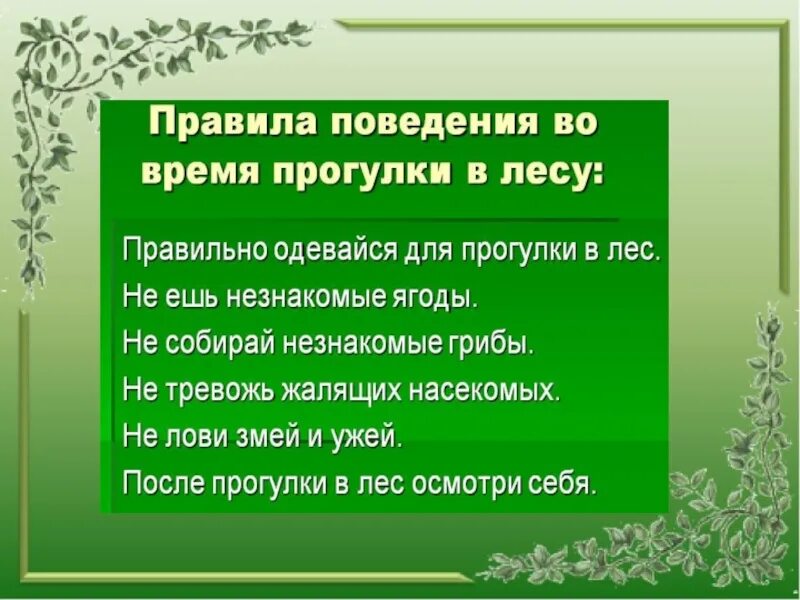 Правила поведения на воде и в лесу