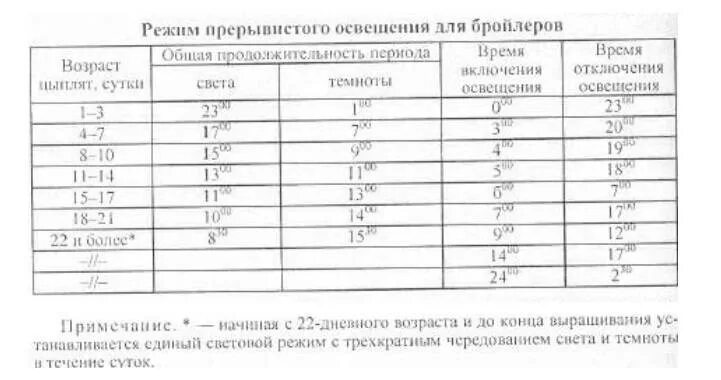 При какой температуре можно цыплят. Световой режим для бройлеров Кобб 500 таблица. Таблица освещения для цыплят бройлеров. Режим освещения для бройлеров Росс 308. Световой режим для цыплят бройлеров таблица.