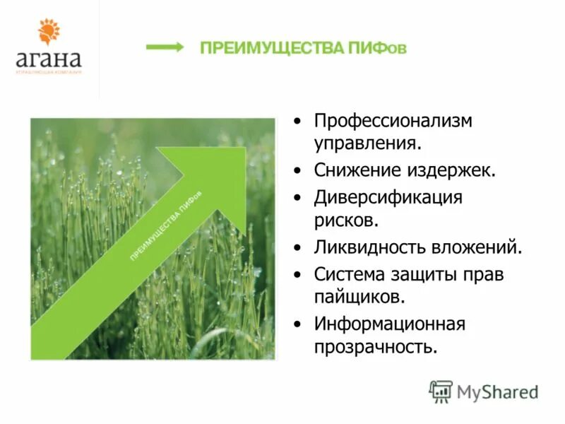 Пиф ликвидность. Преимущества пифов. преимущества и риски вложения средств в пифы. преимущества и риски вложения средств в пифы преимущества риски. паевой инвестфонд (пиф).