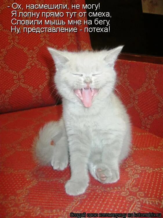 Насмешил мем. Хорошо что мы успели пошалить в молодости. Прикол про правильное писание. Мем женщины алчные. Ха ха насмешили.