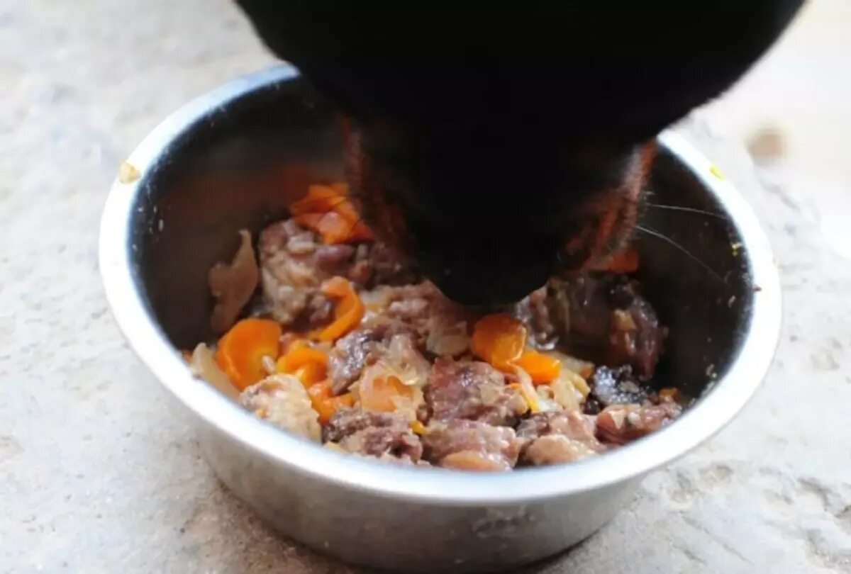 Собака кушает. Натуралка для собак каша. Еда для собак. Еда для собак. Еда для собак натуралка.