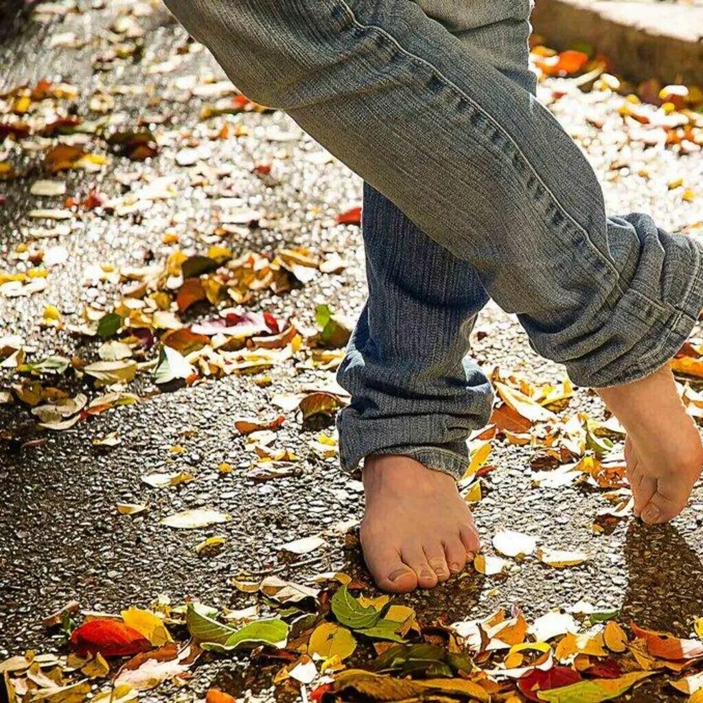 Чай в осеннем саду. Осень осень не спеши стих. Часы в осенних листьях. Осень пришла. Осеннее настроение.