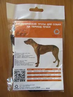 Можно ли делать собаке прививку при течке
