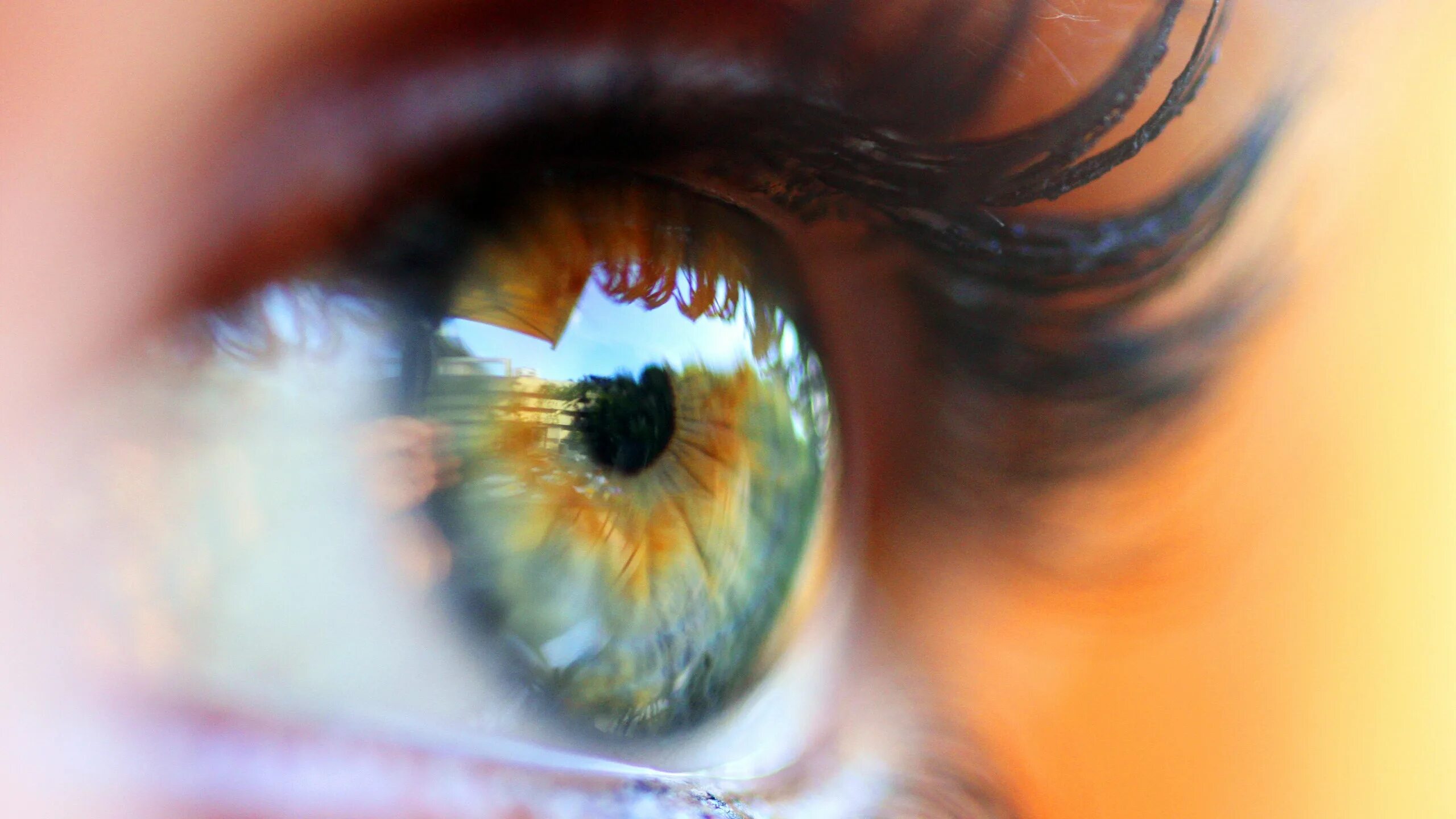 You are here eye. Отражение в глазах. Отражение в зрачке. Человеческий глаз. Свет в глазах.