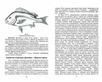 Форма тела рыбы характеристика