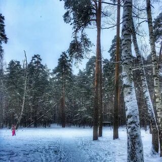 Погода в лыткарино