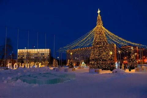 Ели архангельска