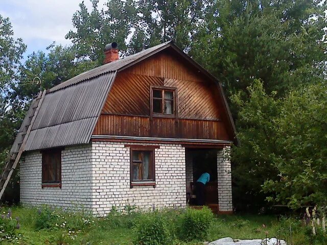 дача садоводство алтайские зори барнаул. снт луговое барнаул. садоводство дружба. садоводство дружба. дача садоводство дружбы.