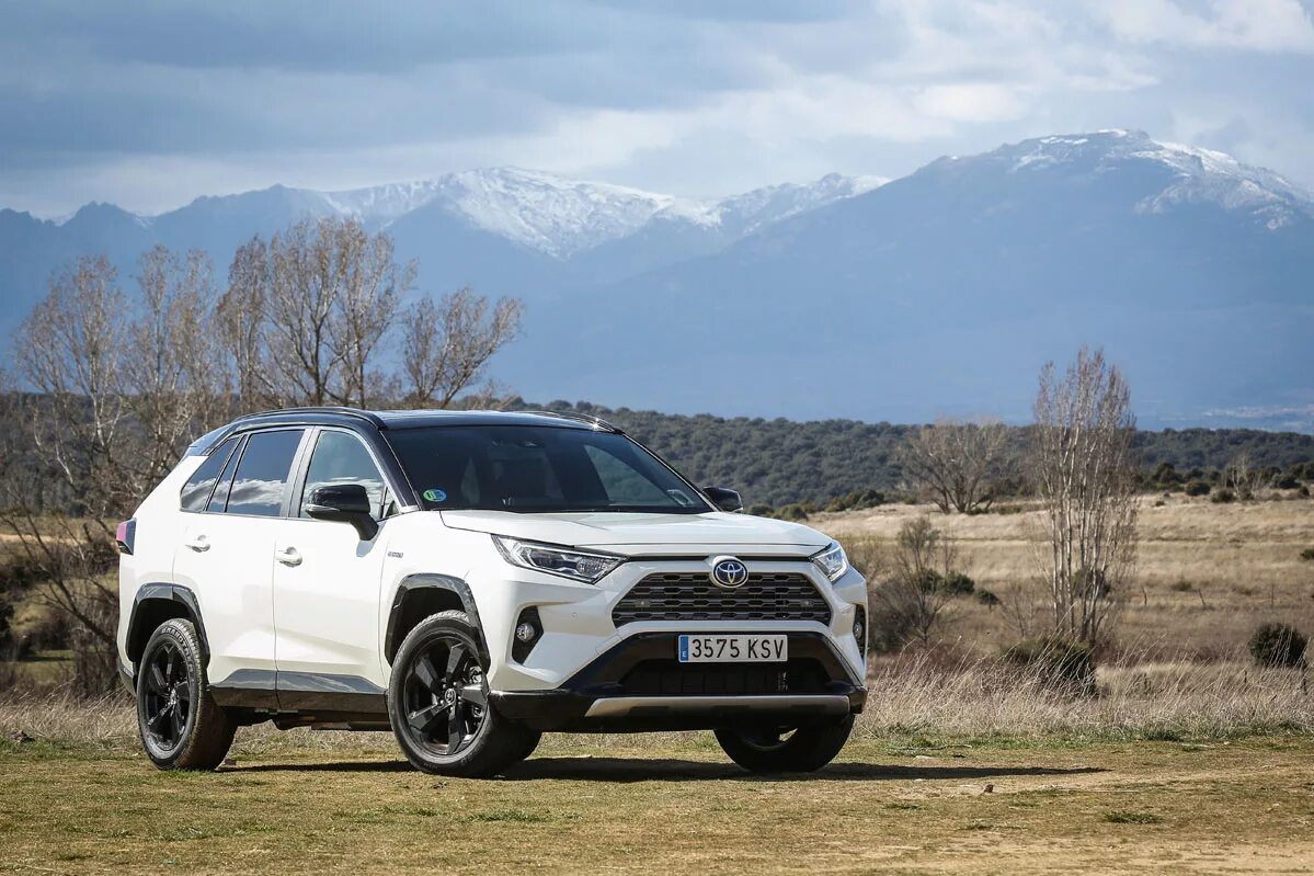 Toyota rav4 Hybrid. Toyota rav4 2021. Тойота рав 4 гибрид. Toyota rav4 2019.