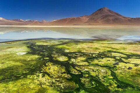 Лагуна америка