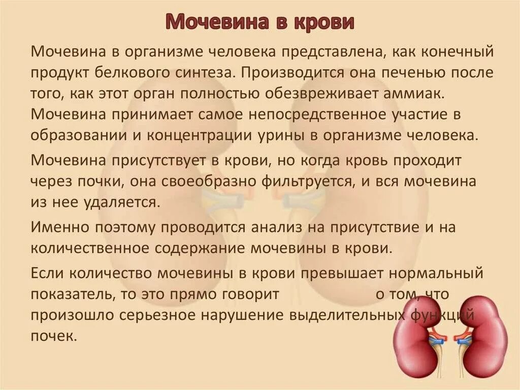 Мочевина пониженная причины