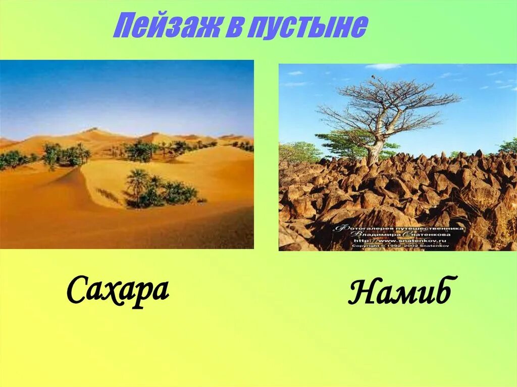 Влияние человека на пустыни. Почва в тропических пустынях Африки. Тропические пустыни Африки животные. Тропических пустынь в Африке.