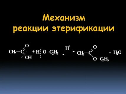 2 реакции этерификации