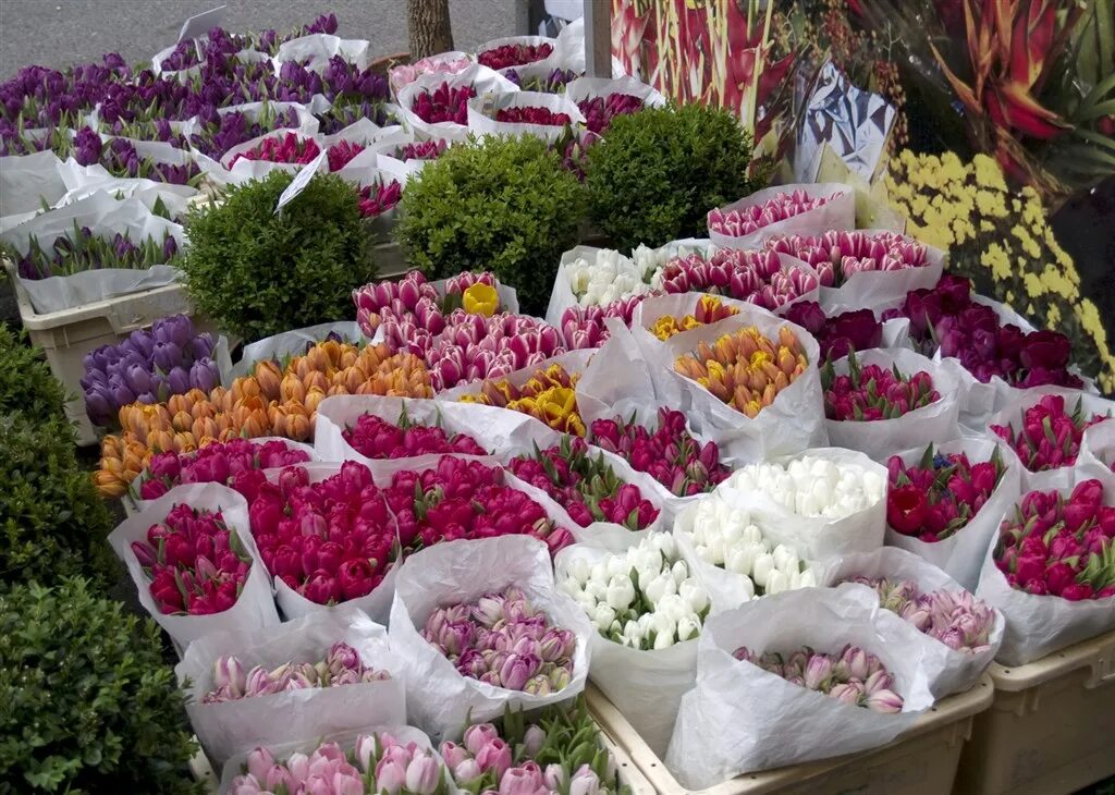 Цветочный рынок на береговой. Восточный цветочный рынок. Цветочный рынок в Европе. Цветочный рынок в Краснодаре. Цветочный рынок в Краснодаре оптовый.