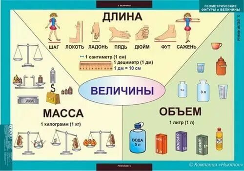 Величины 1 4 класс. Математические величины. Величина для дошкольников. Величины длина масса объем. Величины для начальных классов.