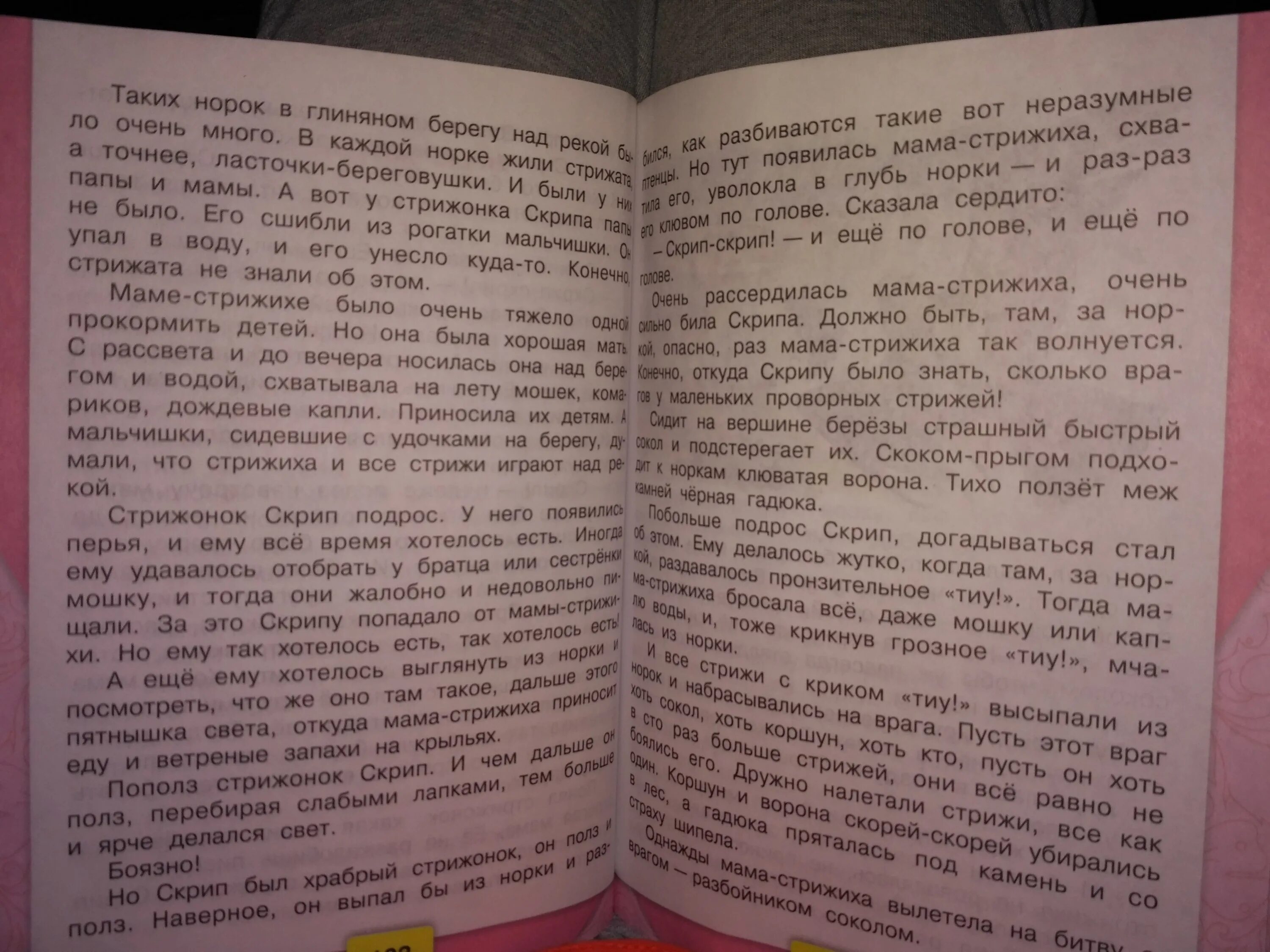 Отчего стрижи стали беспокоиться. План рассказа Стрижонок скрип. План рассказа Стрижонок скрип план рассказа. План сказки Стрижонок скрип 4 класс. Стрижонок скрип план к рассказу 4 класс.