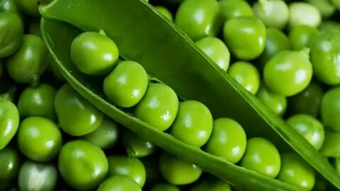 Vegetable pea