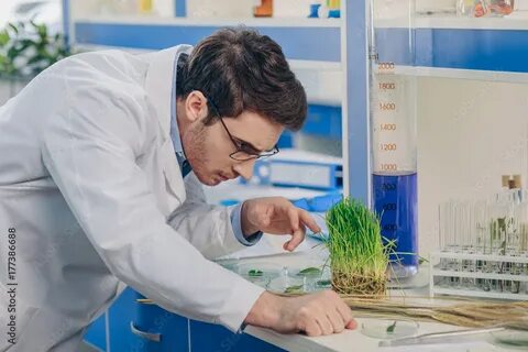 Биолог в лаборатории