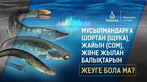 Әйелдердің есектерінің жақыннан түсірілген суреттері