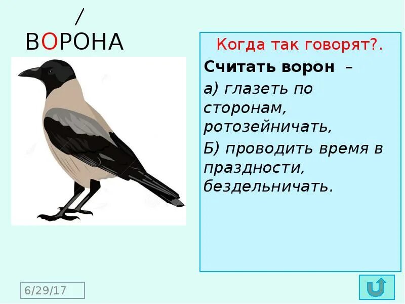 Ворон составить предложение. Ворона однокоренные слова. однокоренные слова ворона и сорока. ворона словарное слово 1 класс. предложение со словом ворона.