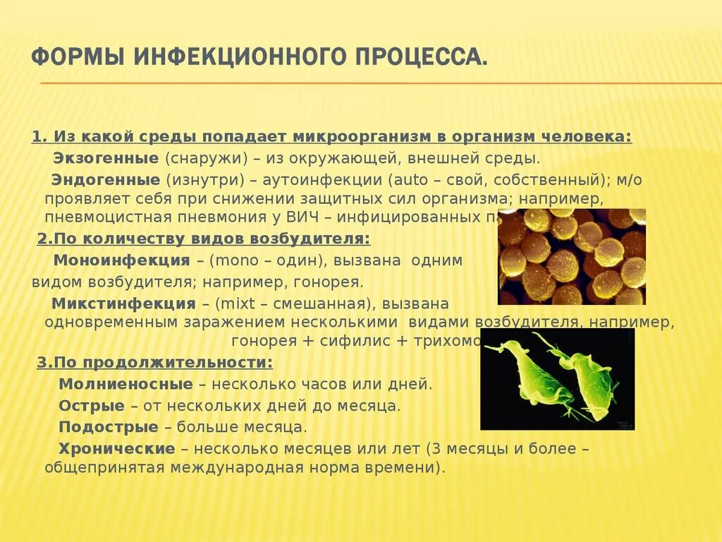 Формы инфекции тест. Формы инфекционного процесса. Инфекционный процесс и его формы. Формы развития инфекционного процесса. Формы инфекционного процесса микробиология.