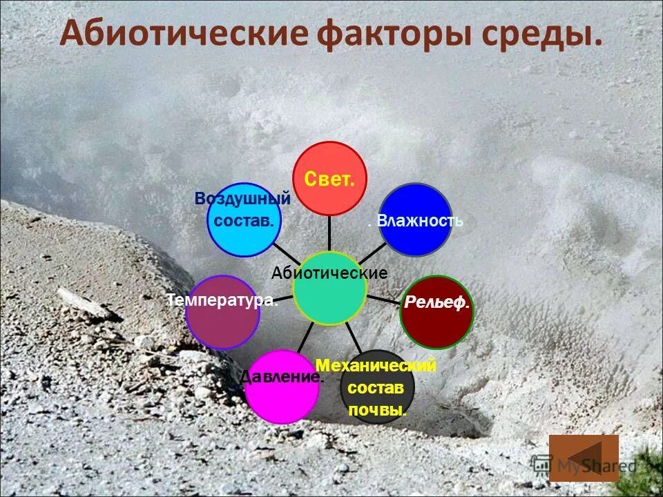 Закон взаимодействия факторов примеры. Схема действия факторов среды на живые организмы. Схема классификация негативных факторов среды обитания человека. Факторы среды 1 и 2 порядка. Факторы среды 1 и 2 порядка.