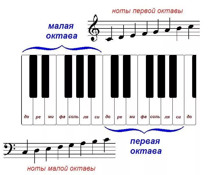 Ноты с названиями для начинающих. Клавиатура фортепиано 1 Октава. Нотная клавиатура 1 Октава. Октава фортепиано 2 октавы. Ноты первой октавы.