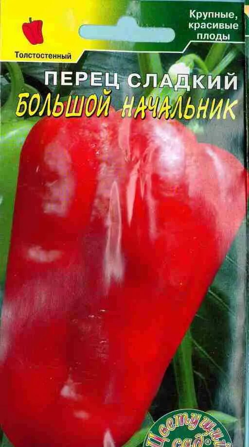 Перец рондо сладкий. Перец великан голландский. Царская с перцем. Эд картинки перец. Перец большое золото.