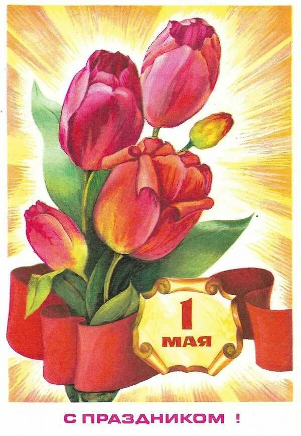 1 мая бабушке. Советские открытки с тюльпанами. Открытки с 1 мая. Тюльпаны открытка. Советские открытки с 1 мая.
