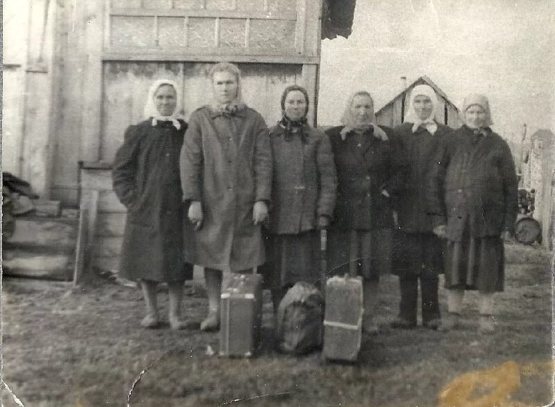 Поляки-майданы рязанская область сасовский р-н. Рязанские майданы. Рязанские майданы. Рязанские майданы. Село шевали-майдан сасовского района рязанской области.