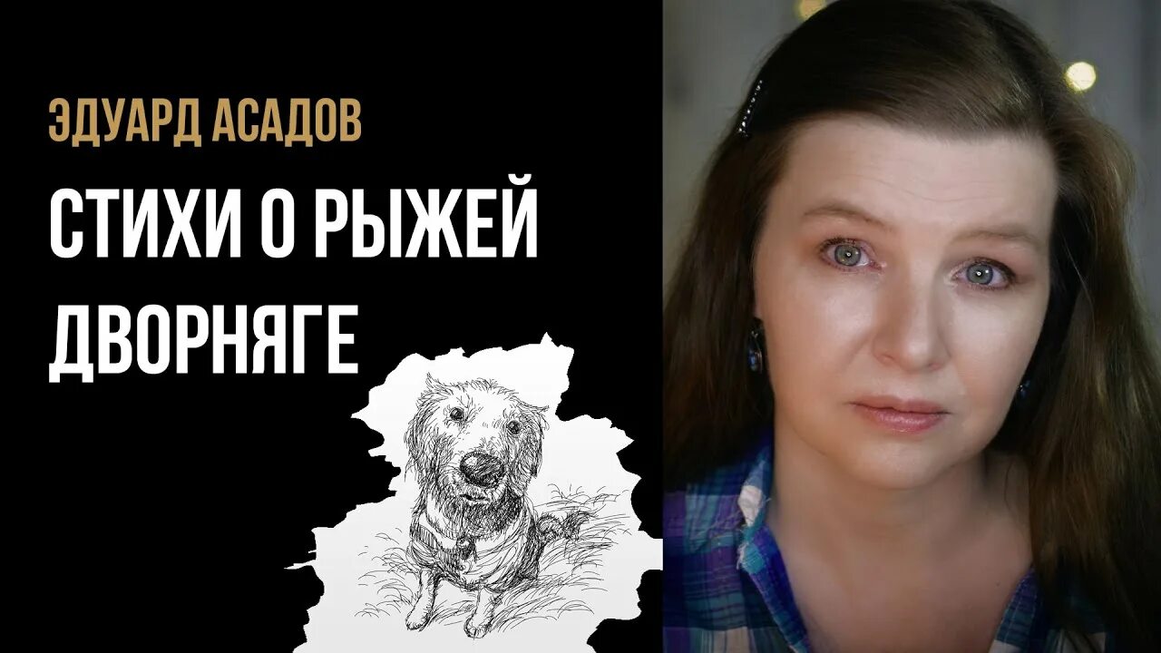 Стихи Асадова о рыжей дворняге. Стих о рыжей дворняге. Асадов дворняга. Стихи о рыжей дворняге текст