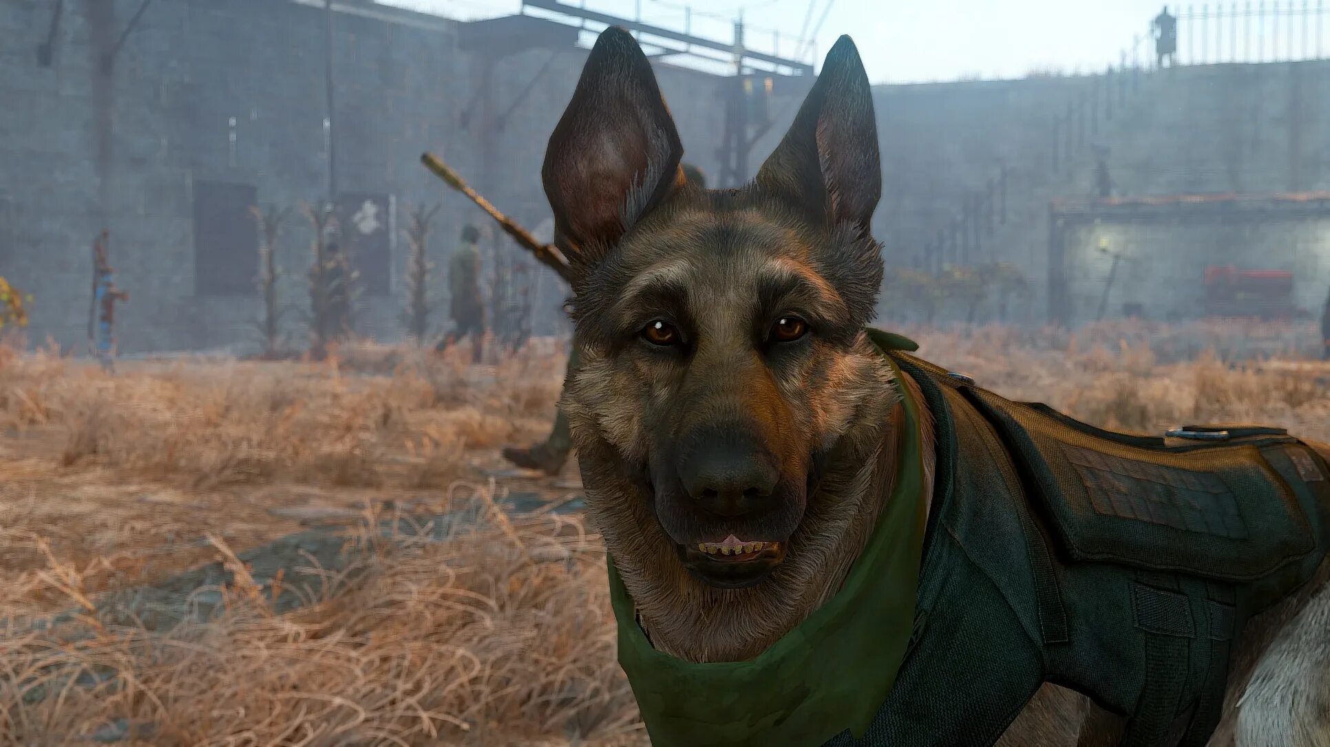 Fallout 3 псина. Фоллаут 4 псина. Fallout 4 собака. Fallout 4 Dogmeat Mod.