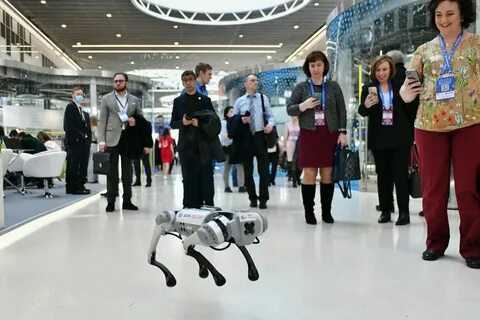 Выставки для детей в москве 2024