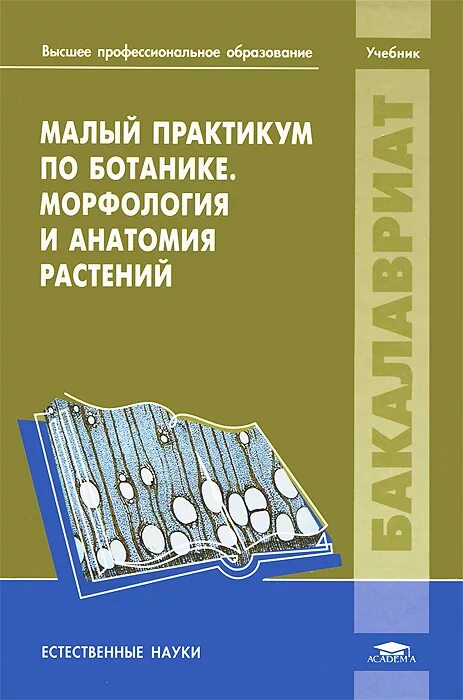 практикум ботаника. анатомия растений лотова. анатомия и морфология растений. анатомия растений лотова. анатомия растений лотова.