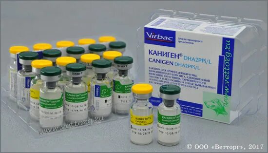 Вакцина для собак каниген. Каниген Рабиген вакцина. Вакцина Каниген для собак dhppi2. Вакцина для собак Франция Каниген. Каниген dha2ppi/l.