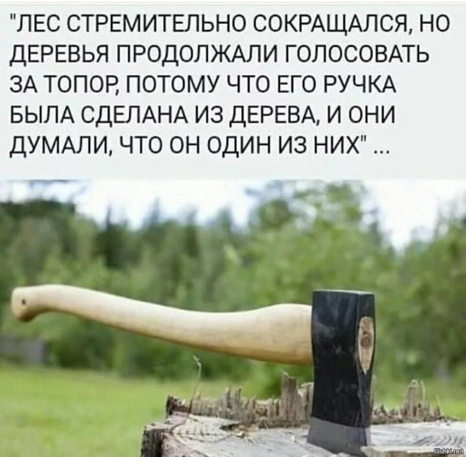 Которые будет сделаны при помощи