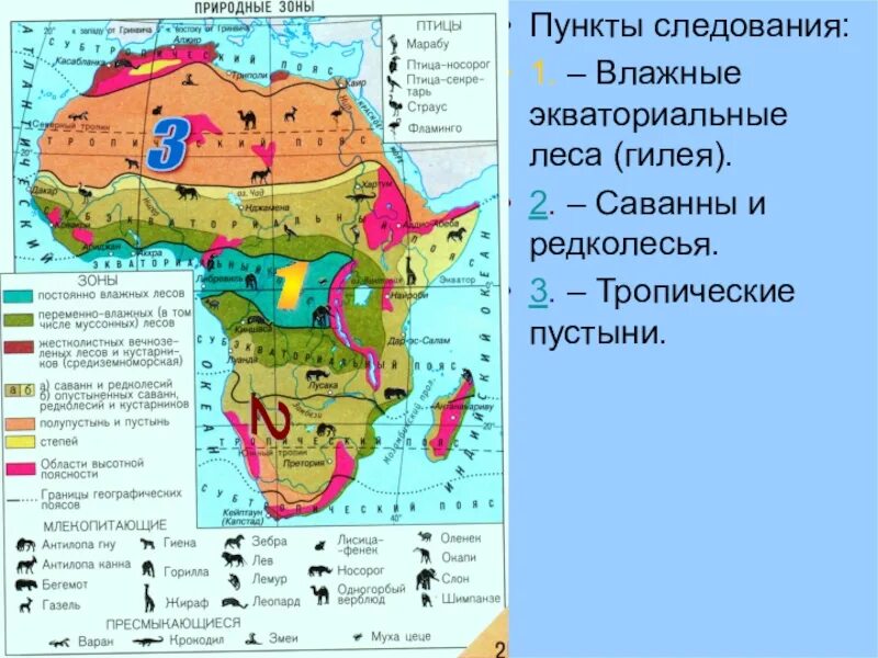 Природные зоны Африки 7 класс география карта. Природные зоны материка Африка. Карта природных зон Африки 7 класс. Географическая карта Африки природные зоны.