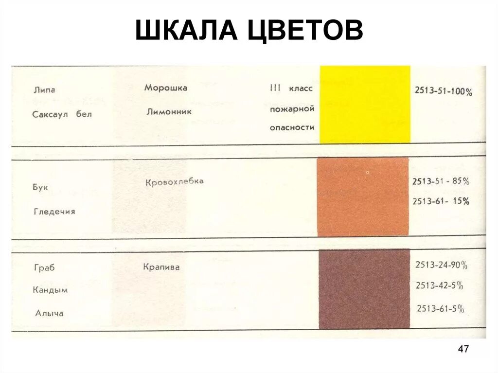 Сделайте нормальный цвет. Цветовая шкала. Шкала окраски. Шкала цветов. Градация тона.