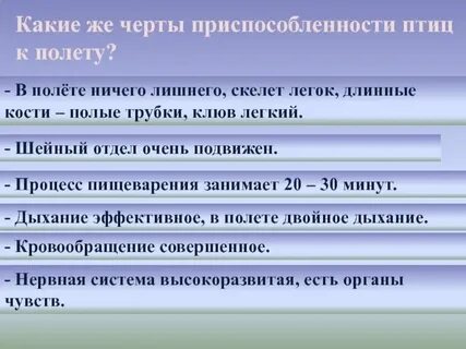 Особенности строения в связи с полетом
