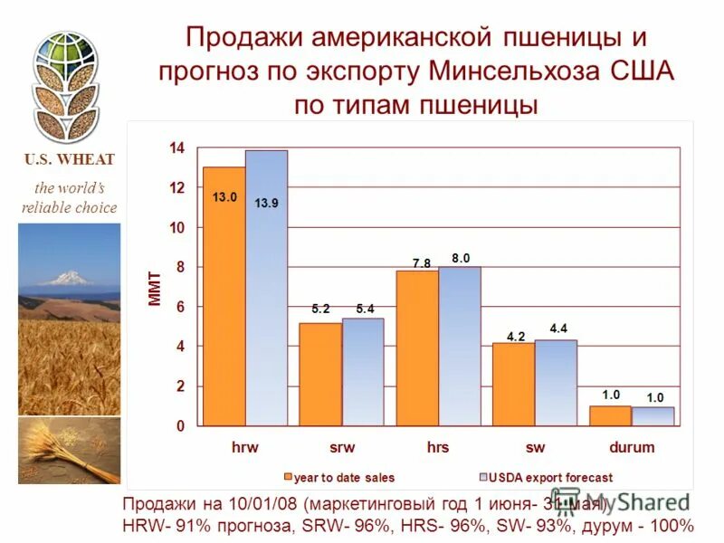 Стоимость пшеницы в 2004 году. Сельскохозяйственные растения. График производства пшеницы в россии. Российская пшеница. Урожай пшеницы в россии график.